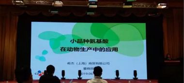 第十五屆泰山論壇 動物營養(yǎng)與飼料科學技術交流峰會2019圓滿落幕，技術轉讓成果豐碩